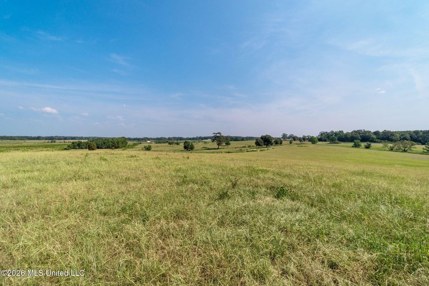 Beautiful 12+/- acres of cleared pastureland, ready for your - photo 2