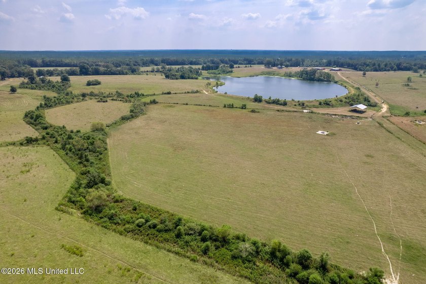 Beautiful 12+/- acres of cleared pastureland, ready for your - photo 4