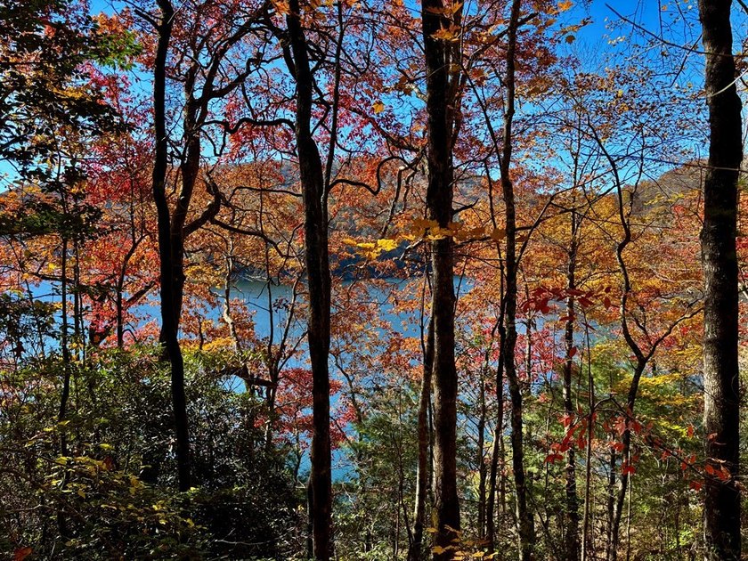 Nestled within the coveted Nantahala Highlands subdivision, this - photo 3
