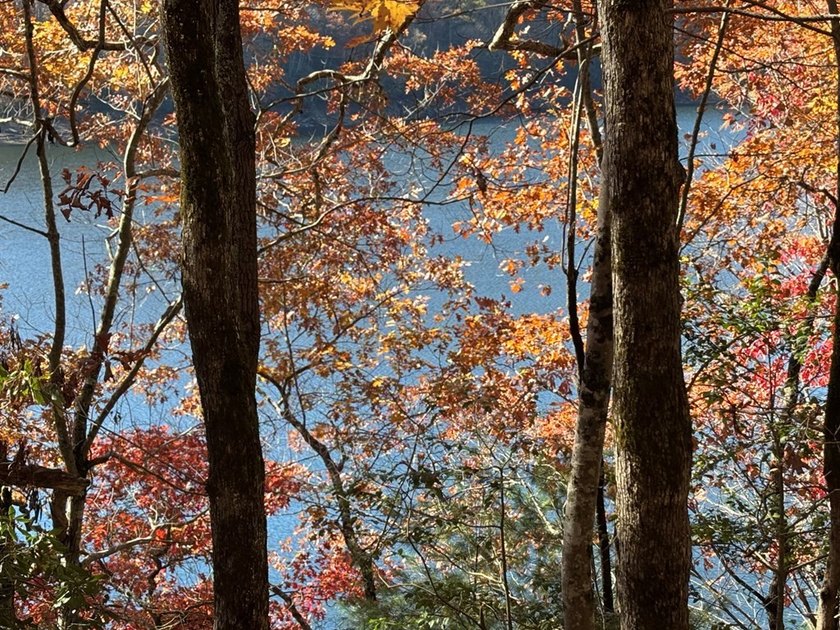 Nestled within the coveted Nantahala Highlands subdivision, this - photo 4