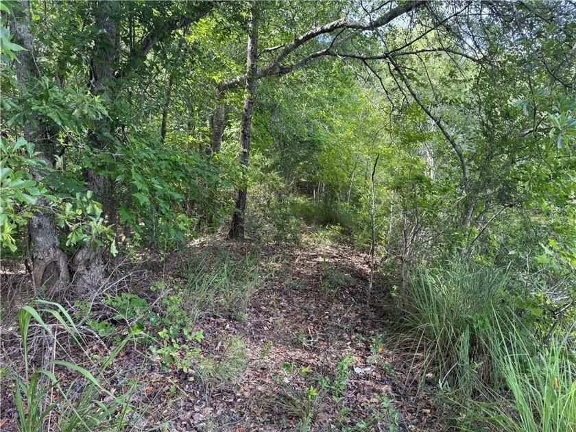 Opportunities to acquire a contiguous 50-acre tract of - photo 11