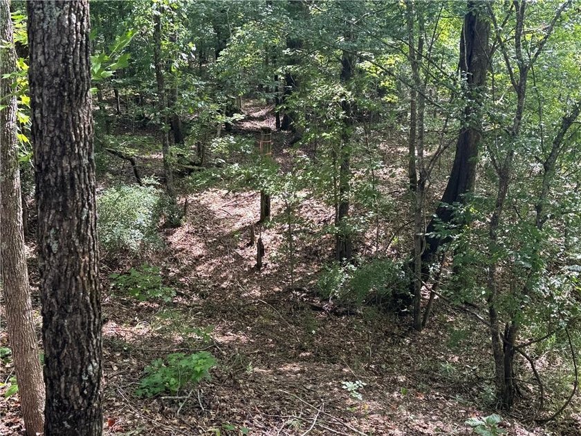Opportunities to acquire a contiguous 50-acre tract of - photo 12