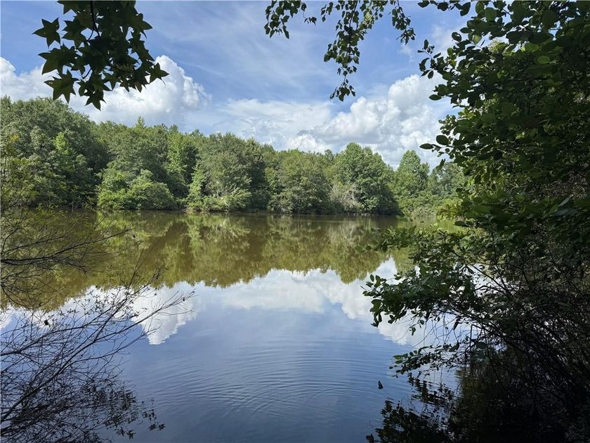 Opportunities to acquire a contiguous 50-acre tract of - photo 13