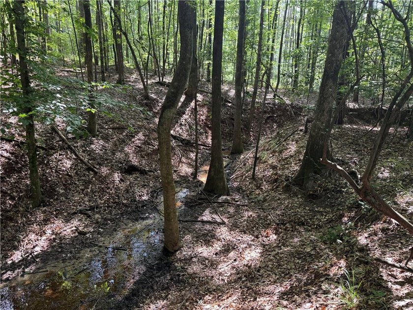 Opportunities to acquire a contiguous 50-acre tract of - photo 14