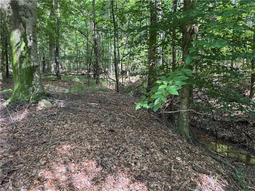 Opportunities to acquire a contiguous 50-acre tract of - photo 15
