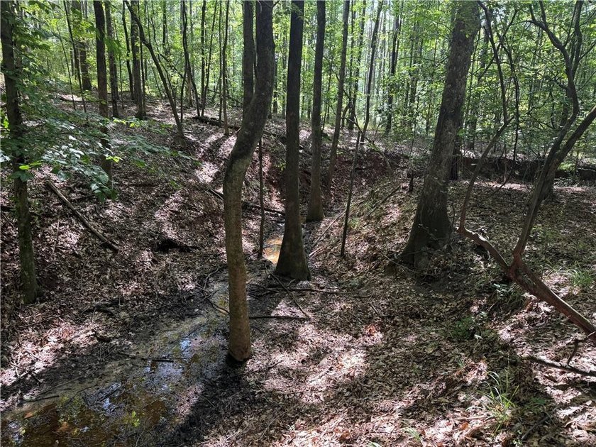 Opportunities to acquire a contiguous 50-acre tract of - photo 16