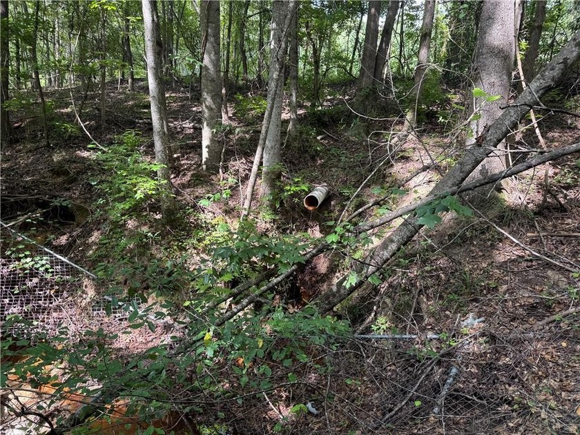 Opportunities to acquire a contiguous 50-acre tract of - photo 17