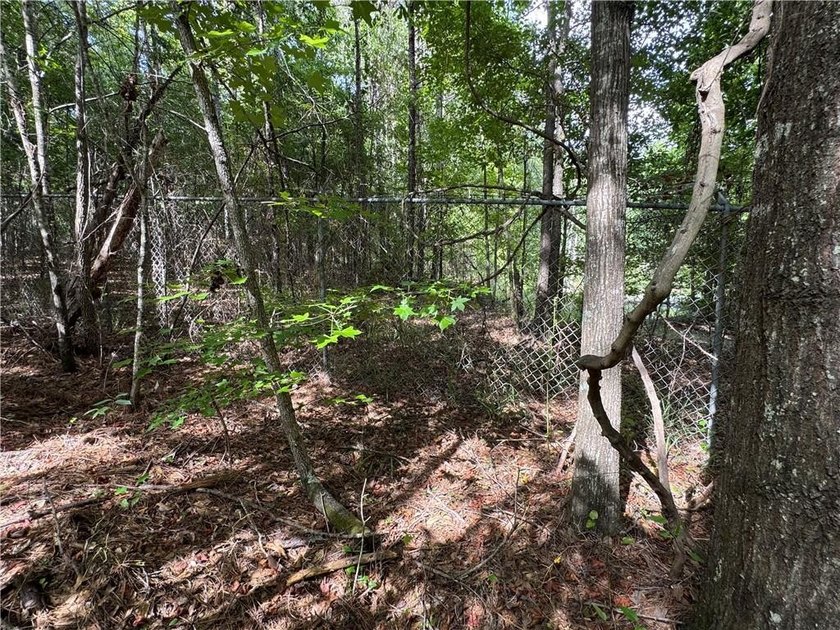 Opportunities to acquire a contiguous 50-acre tract of - photo 18