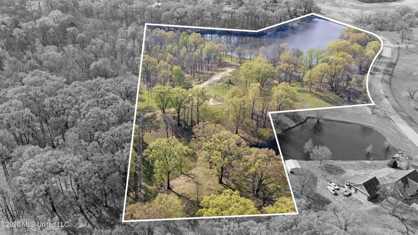 Discover a truly rare and breathtaking property in Lake - photo 2