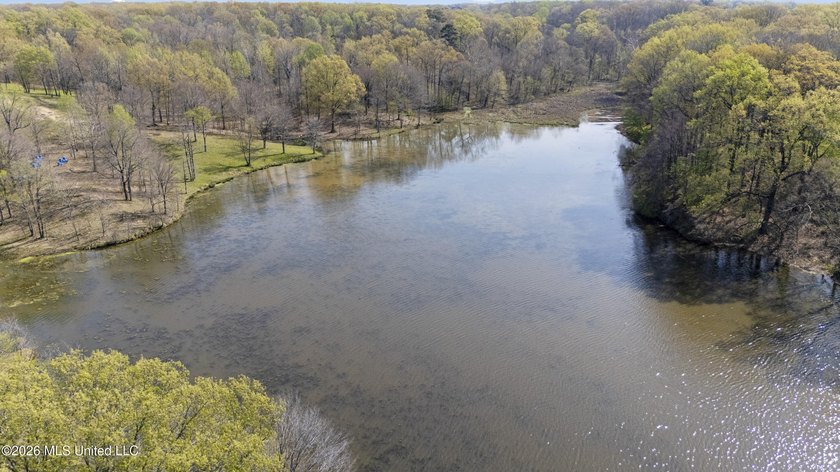 Discover a truly rare and breathtaking property in Lake - photo 3