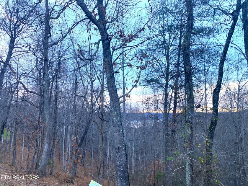 Attention investors, builders, and Norris Lake Lovers alike. Do - photo 4