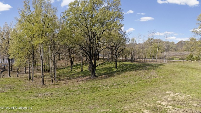 Discover a truly rare and breathtaking property in Lake - photo 6