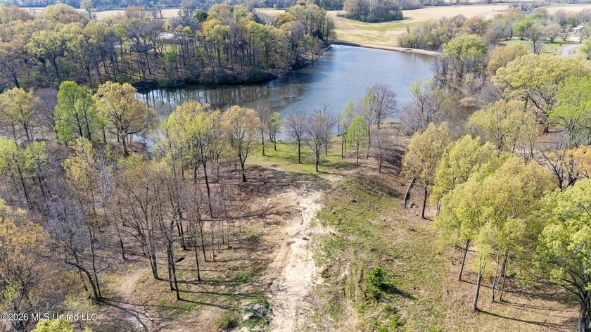 Discover a truly rare and breathtaking property in Lake - photo 7