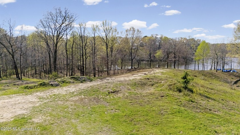 Discover a truly rare and breathtaking property in Lake - photo 9