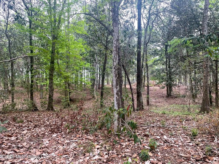 Looking for a waterfront lot? This is it but with more land to - photo 5