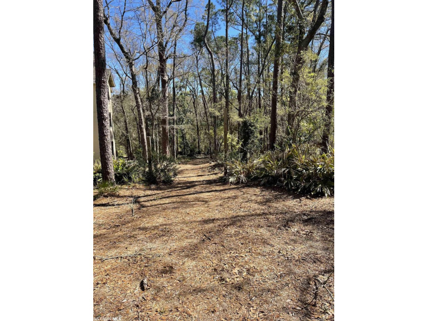 Lot 4 of Van Antwerp Park. Van Antwerp Park is an 11 acre - photo 3