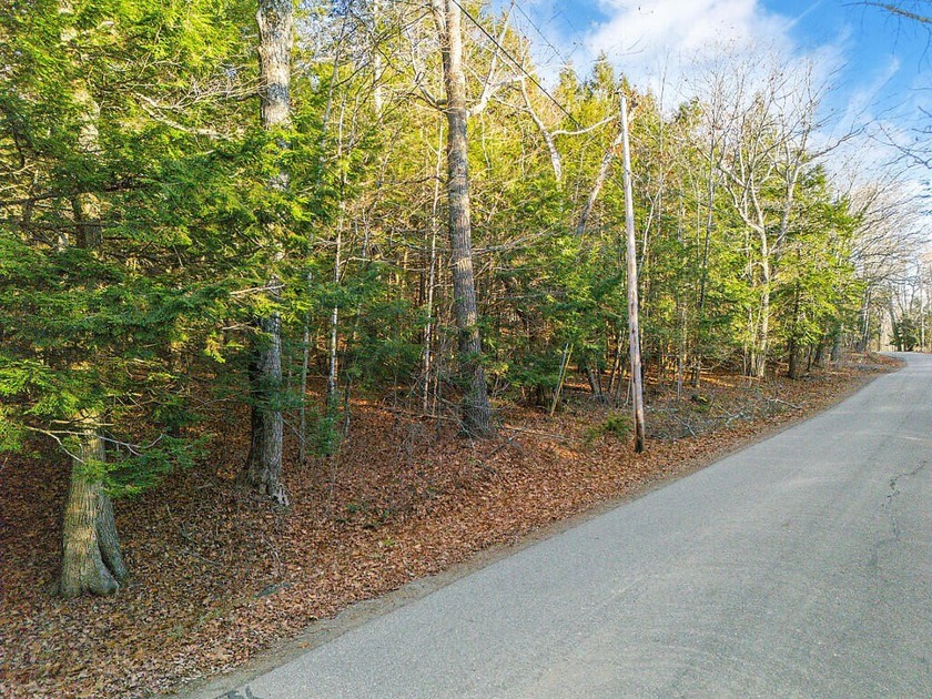 Wooded 10.4 Acre Lot on Bryant Road, Unity ME (Lot 3-1)! Secure - photo 5