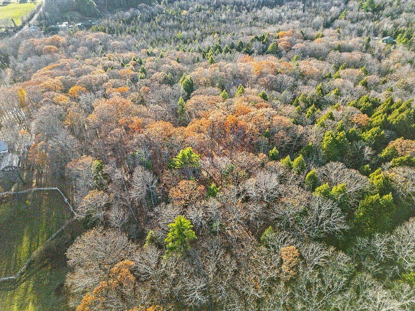 Wooded 10.4 Acre Lot on Bryant Road, Unity ME (Lot 3-1)! Secure - photo 6