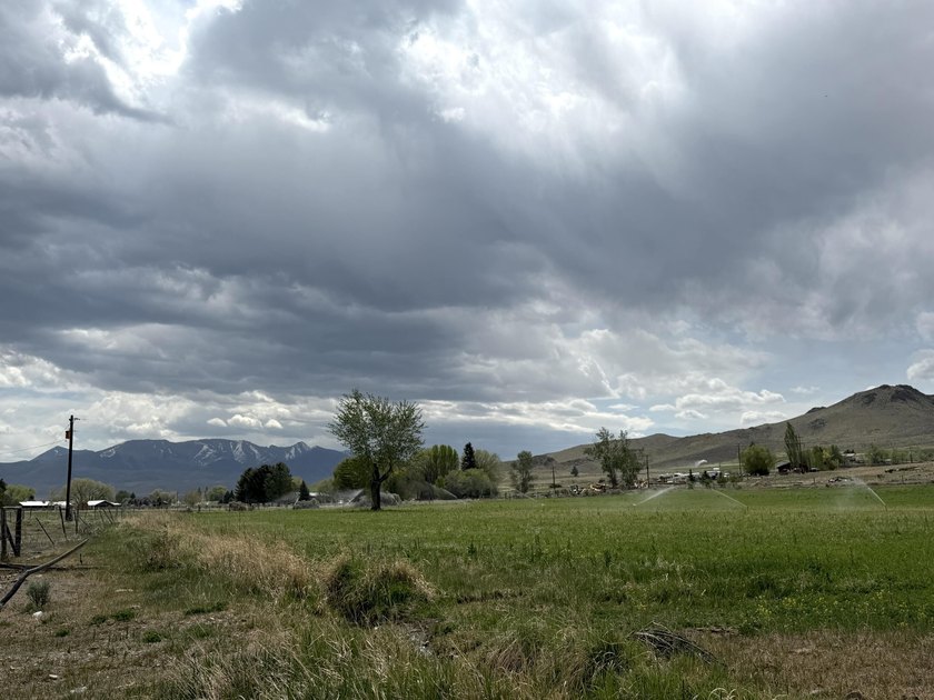 Large 97.5 acre parcel in Challis with Salmon River adjacency - photo 14