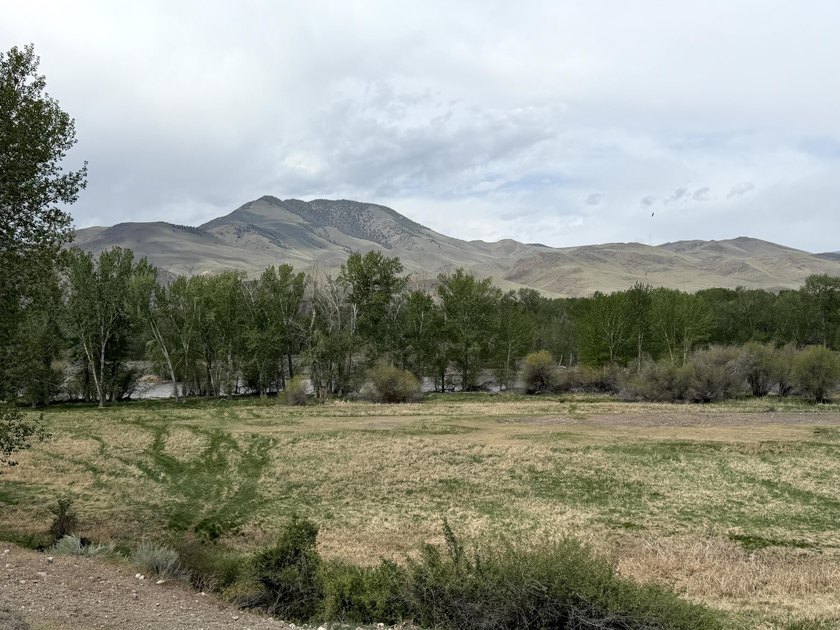 Large 97.5 acre parcel in Challis with Salmon River adjacency - photo 17