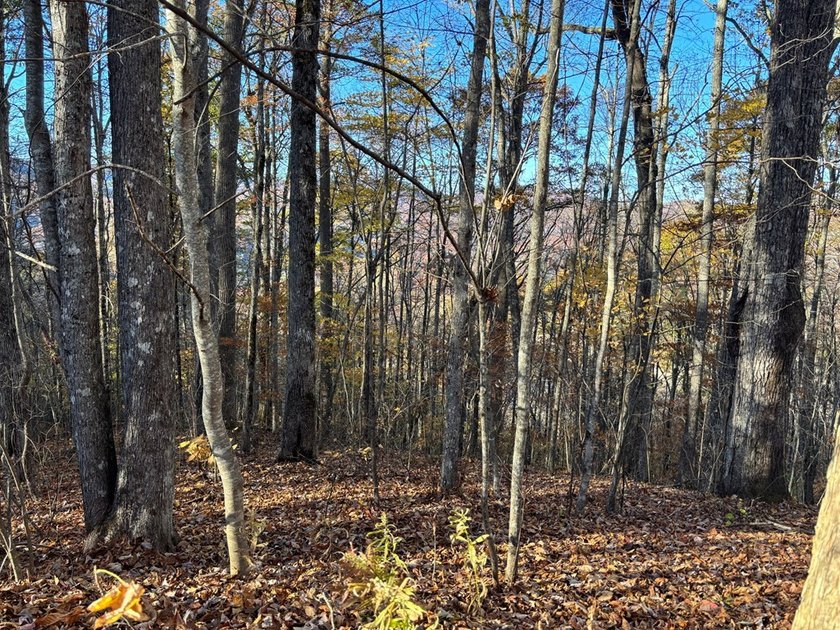 Discover the perfect blend of serenity and adventure on this 1 - photo 2