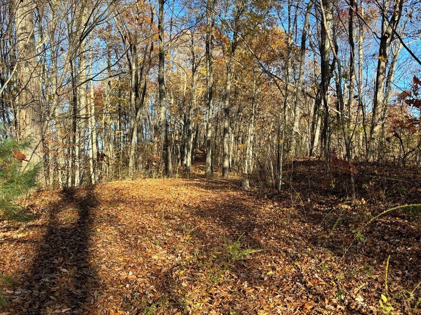 Discover the perfect blend of serenity and adventure on this 1 - photo 4