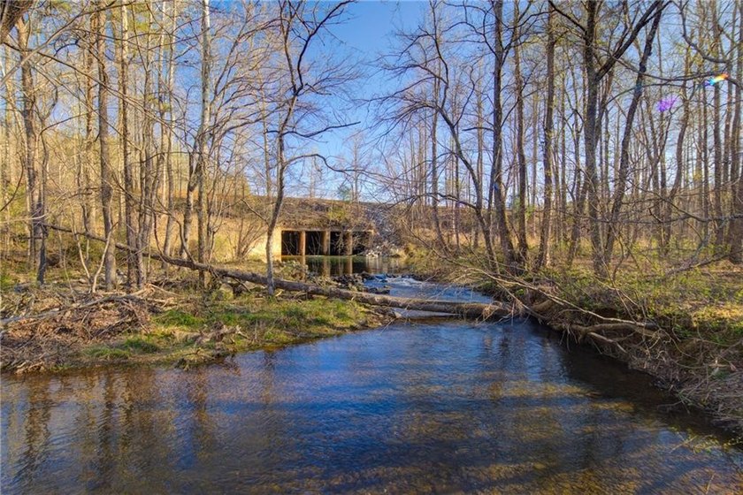 Come and see this incredibly beautiful 25+ acres of unrestricted - photo 6