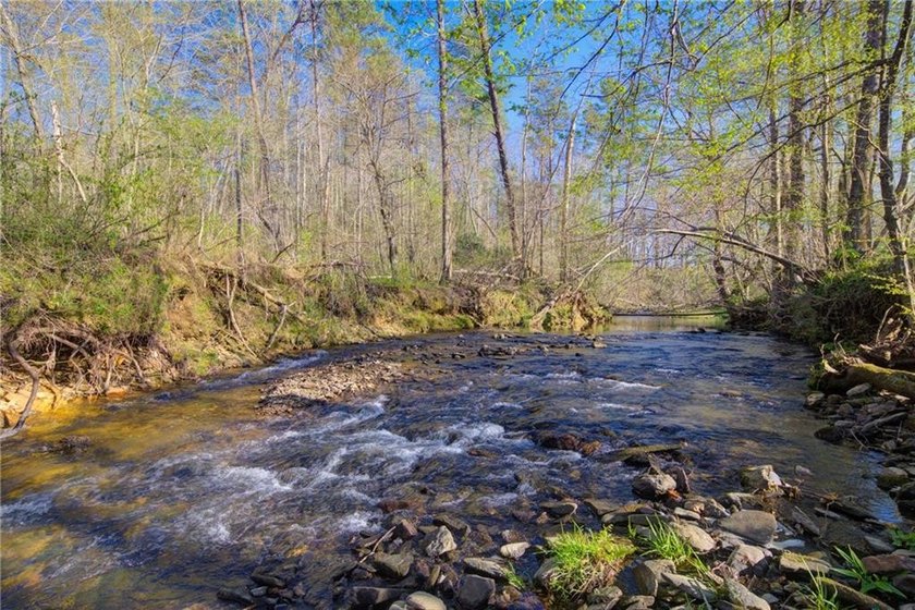 Come and see this incredibly beautiful 25+ acres of unrestricted - photo 7