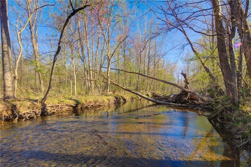 Come and see this incredibly beautiful 25+ acres of unrestricted - photo 9