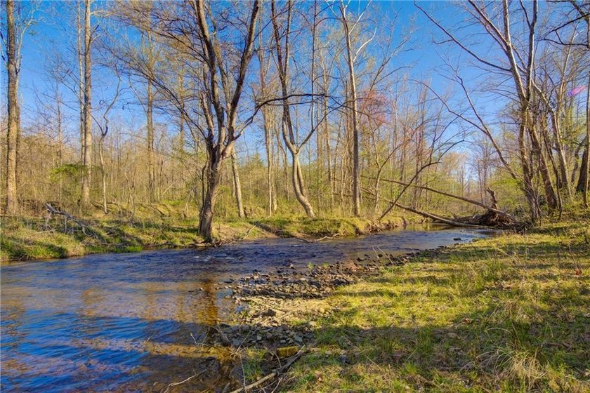 Come and see this incredibly beautiful 25+ acres of unrestricted - photo 10