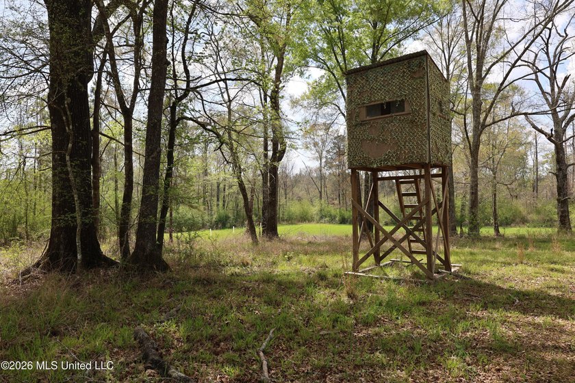 Discover an exceptional hunting and recreational property in the - photo 21