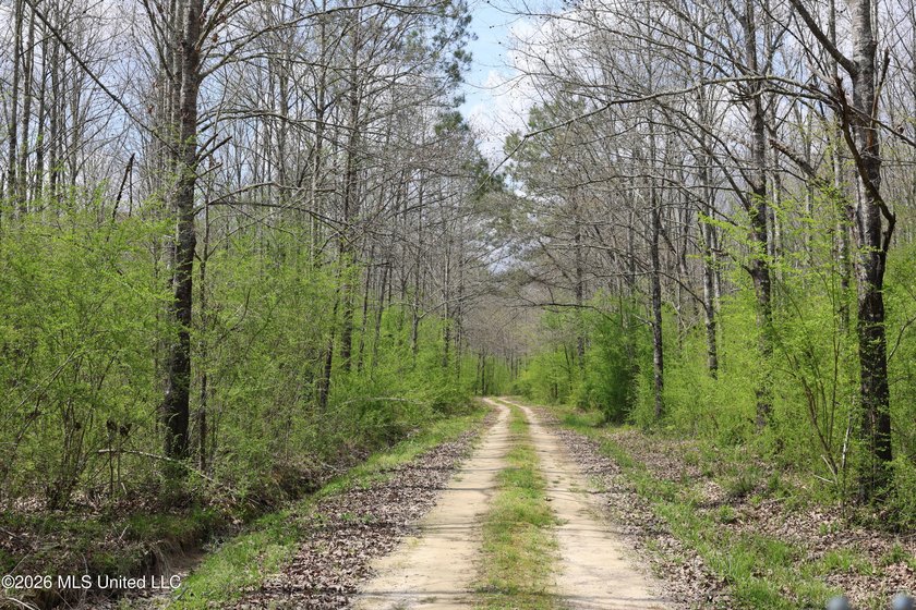 Discover an exceptional hunting and recreational property in the - photo 22