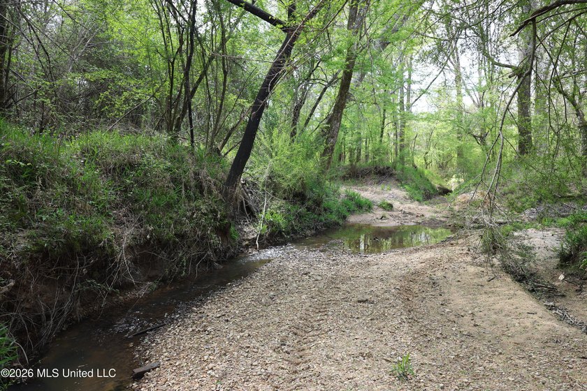 Discover an exceptional hunting and recreational property in the - photo 23