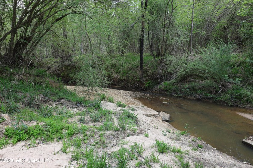 Discover an exceptional hunting and recreational property in the - photo 24