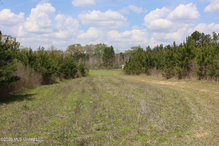 Discover an exceptional hunting and recreational property in the - photo 26
