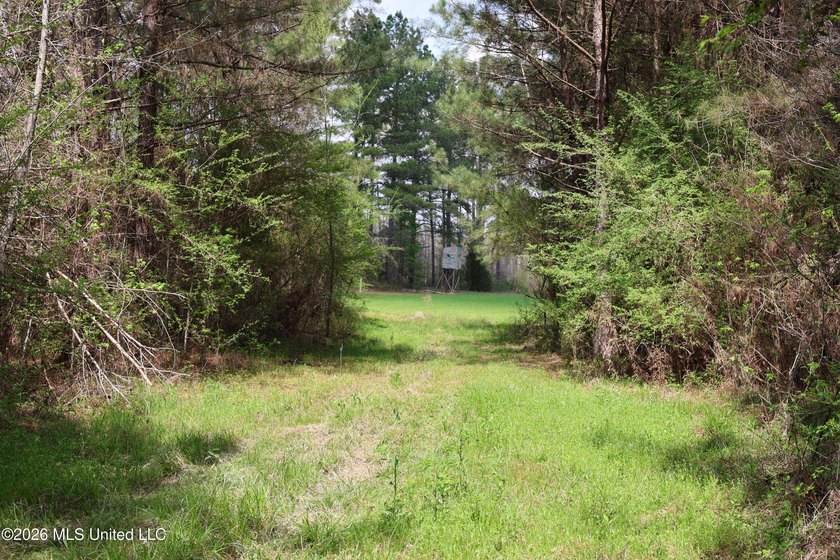 Discover an exceptional hunting and recreational property in the - photo 27