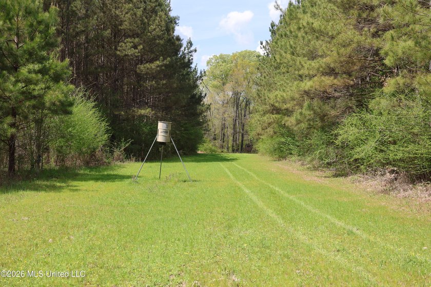 Discover an exceptional hunting and recreational property in the - photo 29