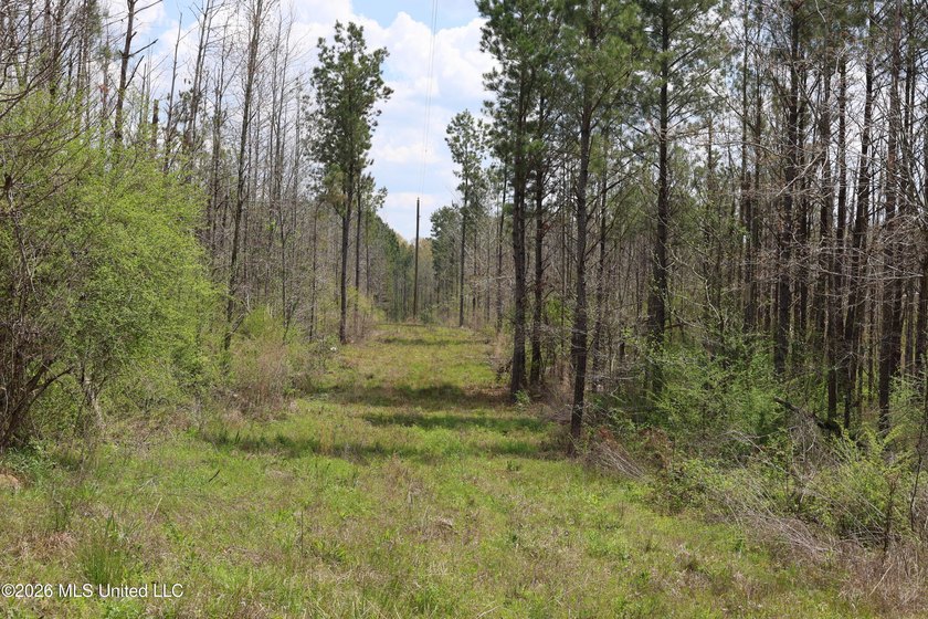 Discover an exceptional hunting and recreational property in the - photo 32