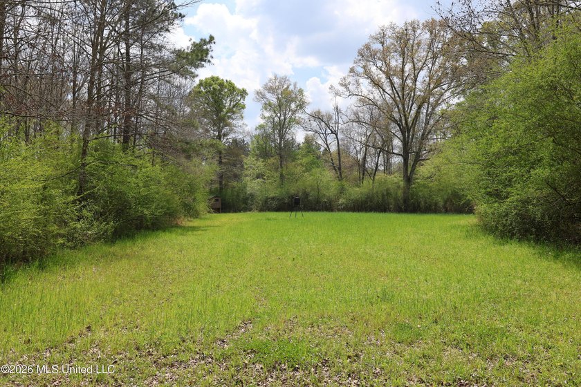 Discover an exceptional hunting and recreational property in the - photo 38