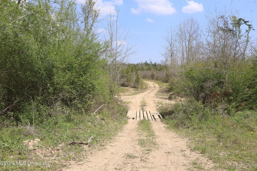 Discover an exceptional hunting and recreational property in the - photo 40