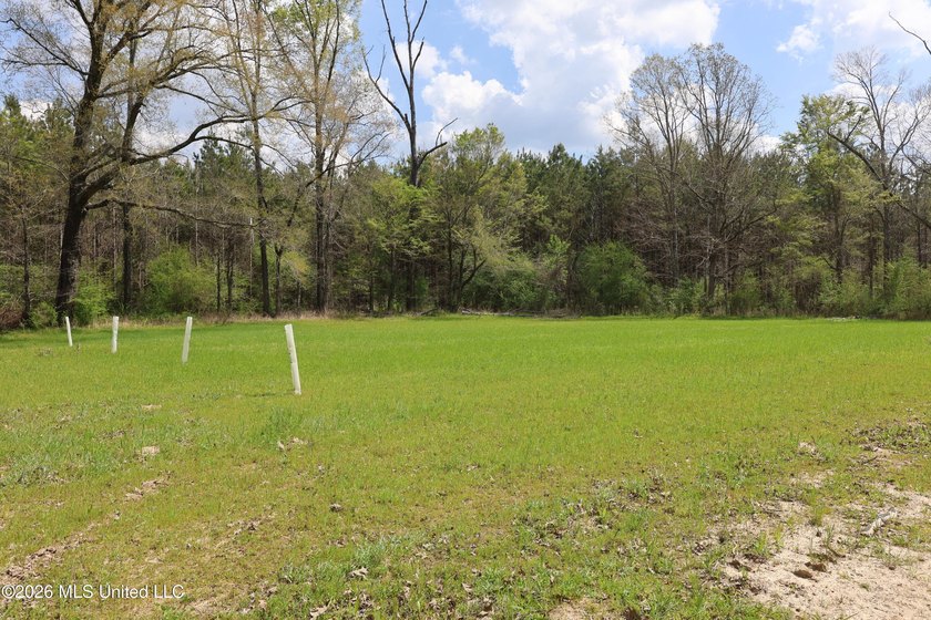 Discover an exceptional hunting and recreational property in the - photo 42