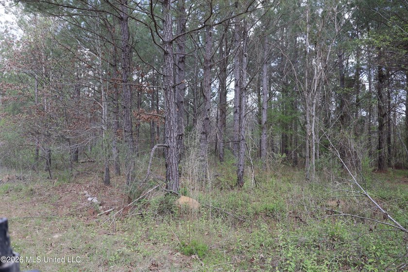 Discover an exceptional hunting and recreational property in the - photo 43