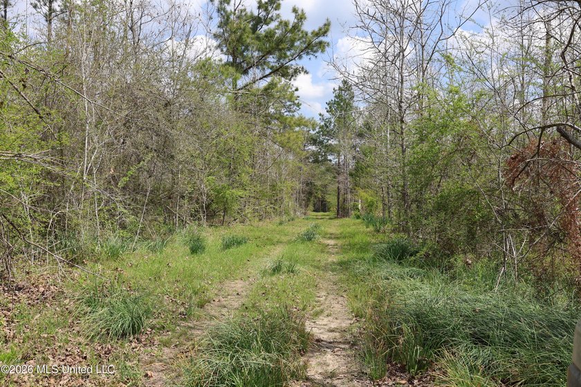 Discover an exceptional hunting and recreational property in the - photo 45