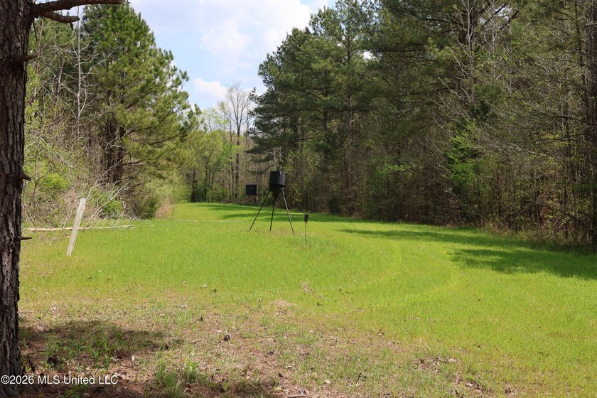 Discover an exceptional hunting and recreational property in the - photo 47