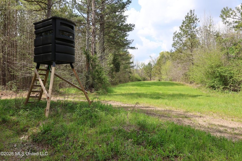 Discover an exceptional hunting and recreational property in the - photo 48