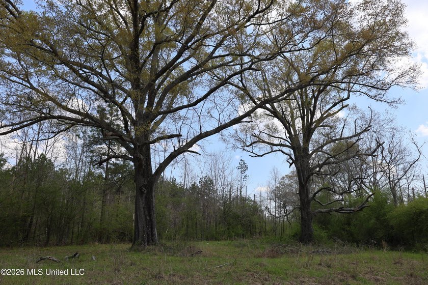 Discover an exceptional hunting and recreational property in the - photo 49