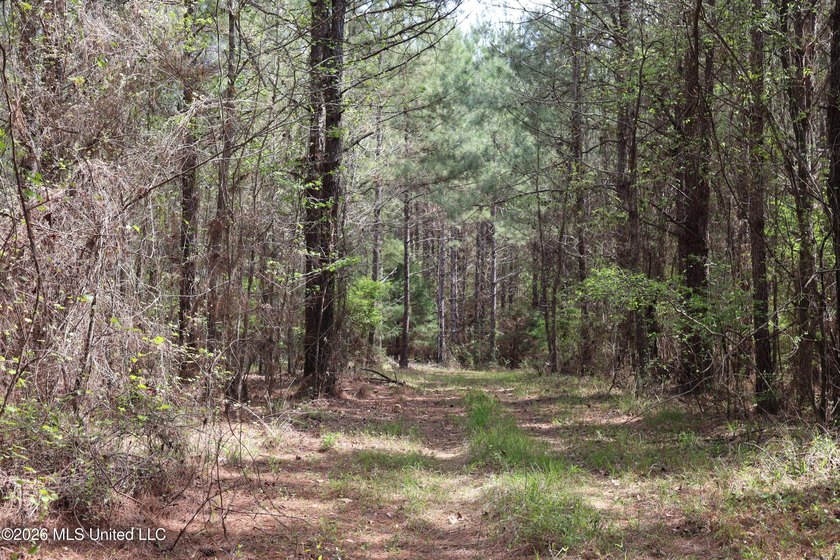 Discover an exceptional hunting and recreational property in the - photo 50