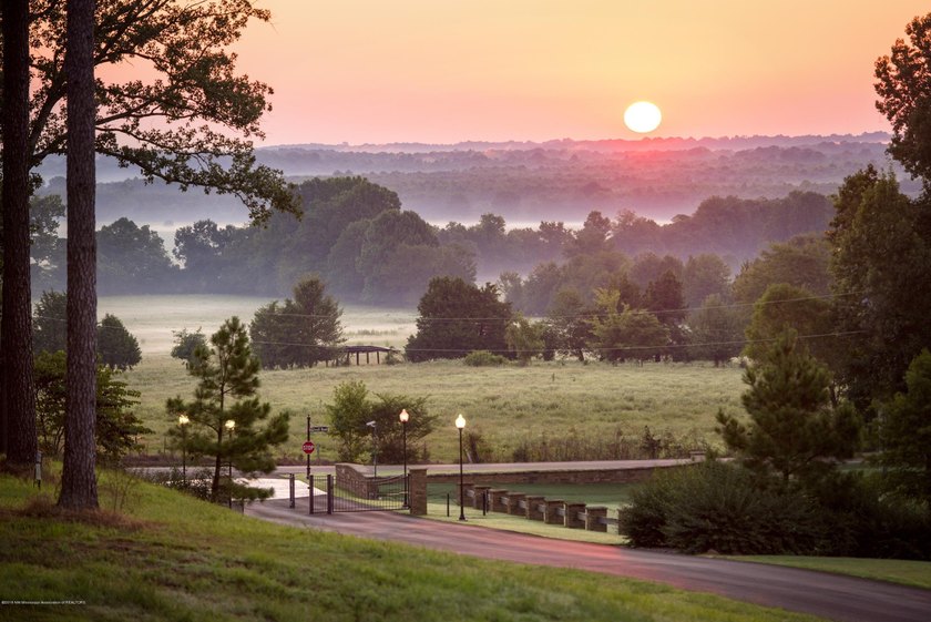Incomparable Gray's Creek in Hernando, MS ~ Your chance to build - photo 5