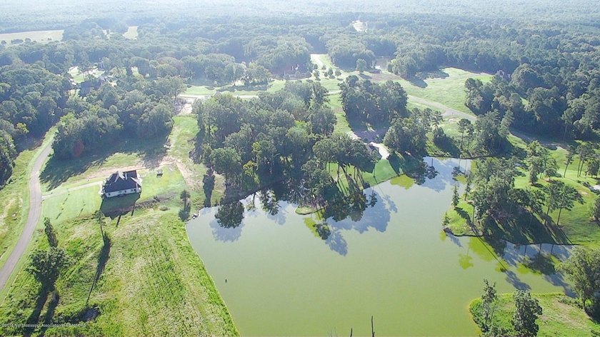 Incomparable Gray's Creek in Hernando, MS ~ Your chance to build - photo 9