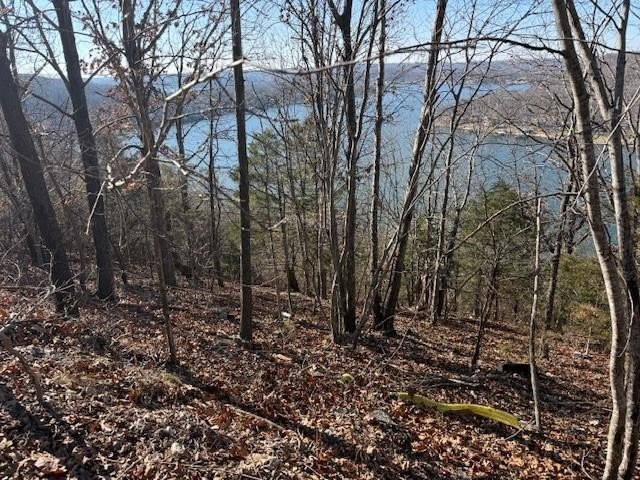 A rare and highly versatile 10.5+/- acre tract located in Camden - photo 12